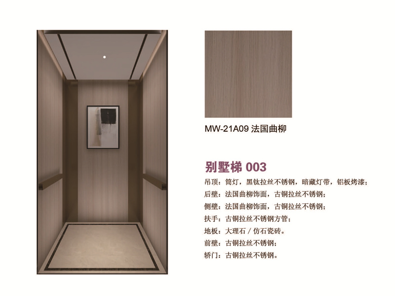 别墅梯 法国曲柳A09